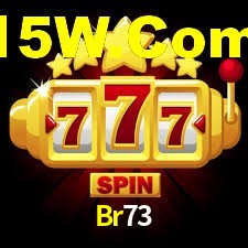 Premium Interface Br73